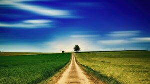 Read more about the article A Road to Paradise