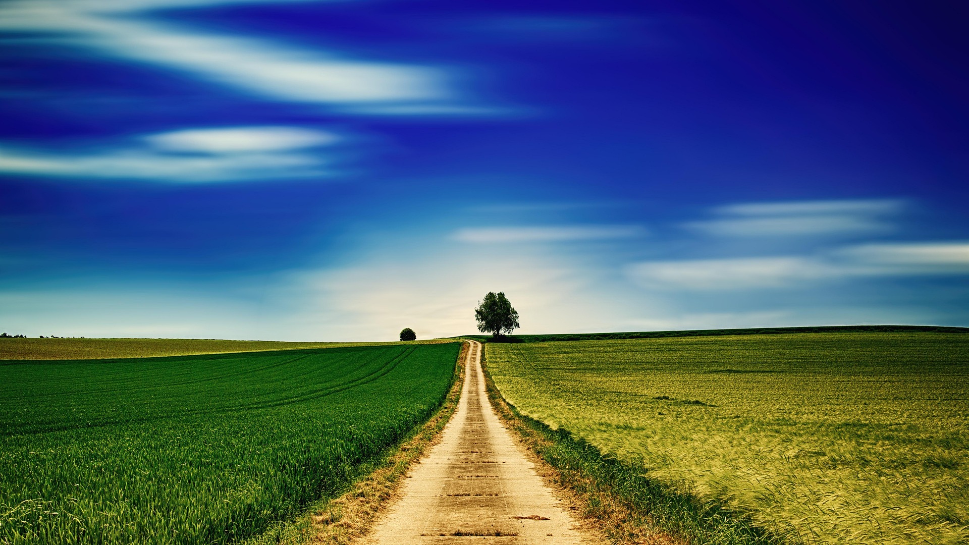 Read more about the article A Road to Paradise